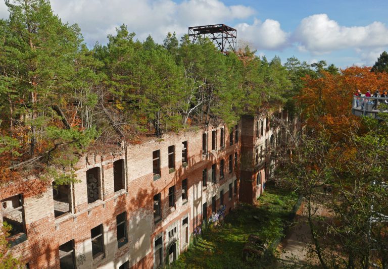 Reise durch „Baum & Zeit“ Baumkronenpfad in Beelitz